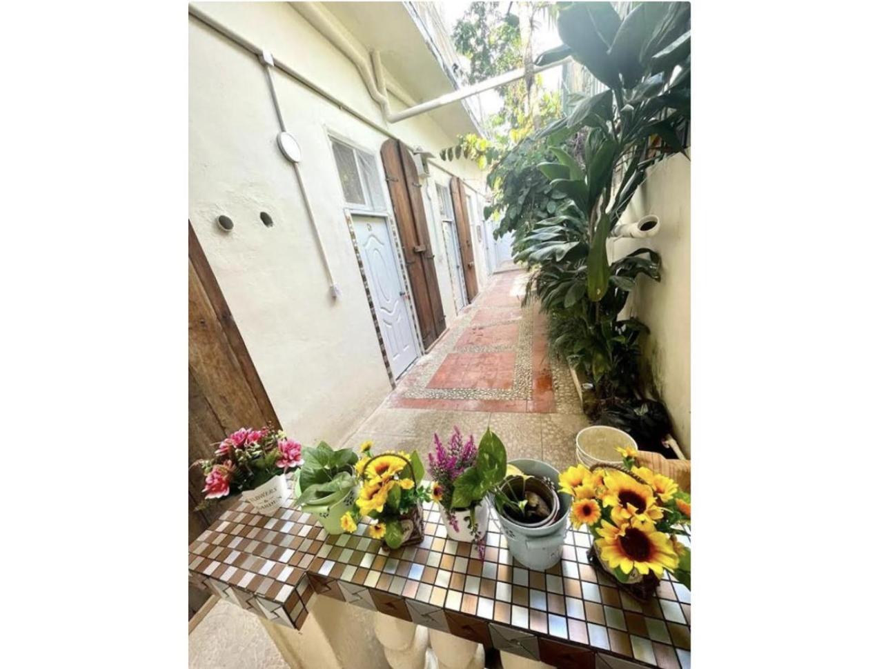 Hostel El Espanol Σάντο Ντομίγκο Εξωτερικό φωτογραφία